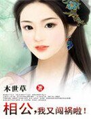 相公,我又闯祸啦!